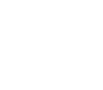 杰寶大王